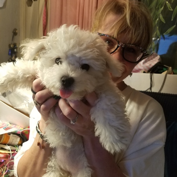 Meet your Posher, Rebecca - Picture 5 of 5